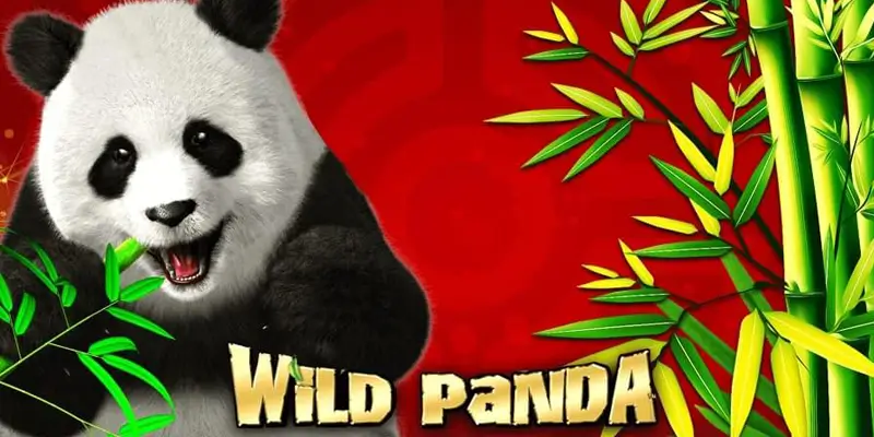 รีวิวWild-Panda